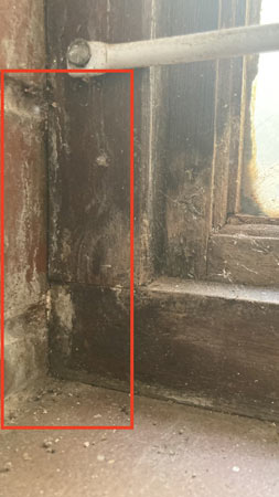Mould Busters