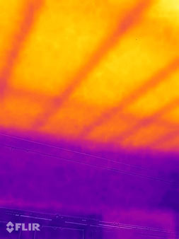 Remove bathroom ceiling mould