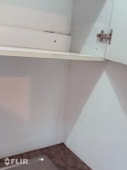 Moisture Intrusion Inspection Services