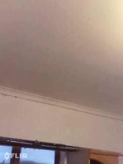 Wall mould remover