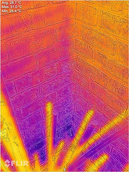 Mould removal services near me