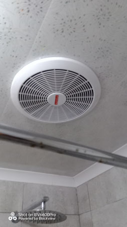 Mould removal on ceiling