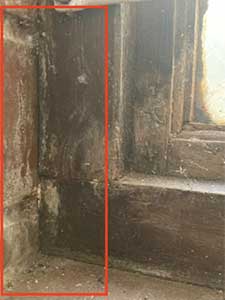 Mould Busters